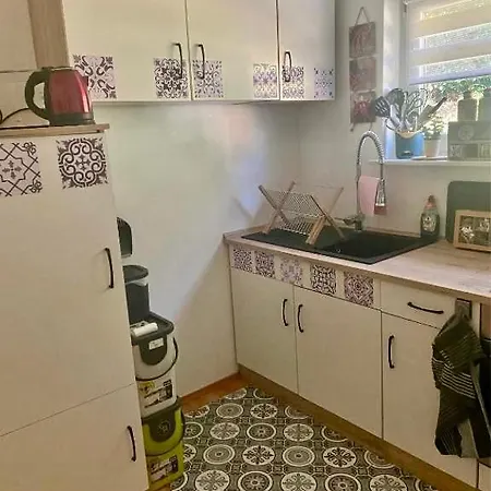 Ferienwohung Am Felsenwanderweg Im Pfaelzerwald * Rodalben