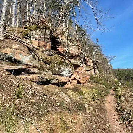 Ferienwohung Am Felsenwanderweg Im Pfaelzerwald