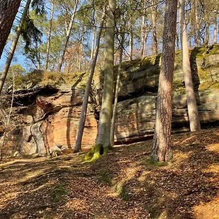 דירה Ferienwohung Am Felsenwanderweg Im Pfaelzerwald Rodalben