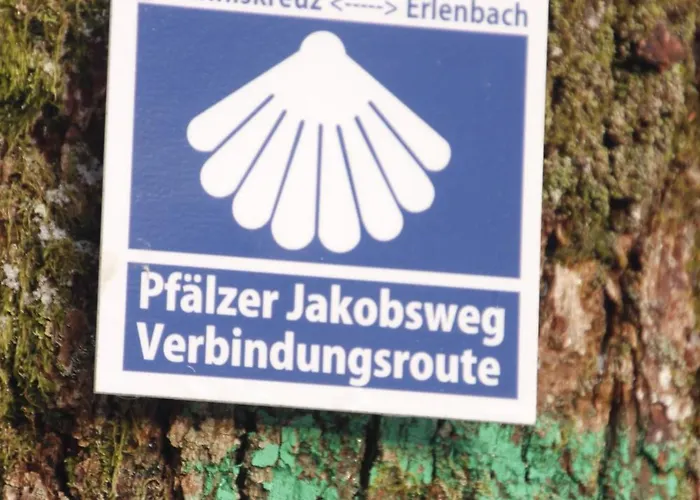 Lägenhet Ferienwohung Am Felsenwanderweg Im Pfaelzerwald *