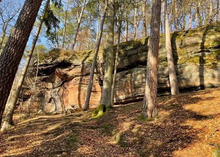 Lägenhet Ferienwohung Am Felsenwanderweg Im Pfaelzerwald Rodalben